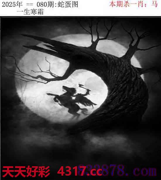 图片加载中...