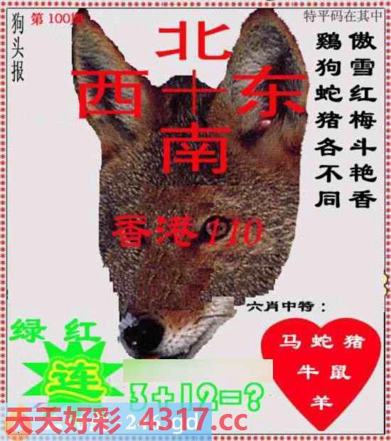 图片加载中...