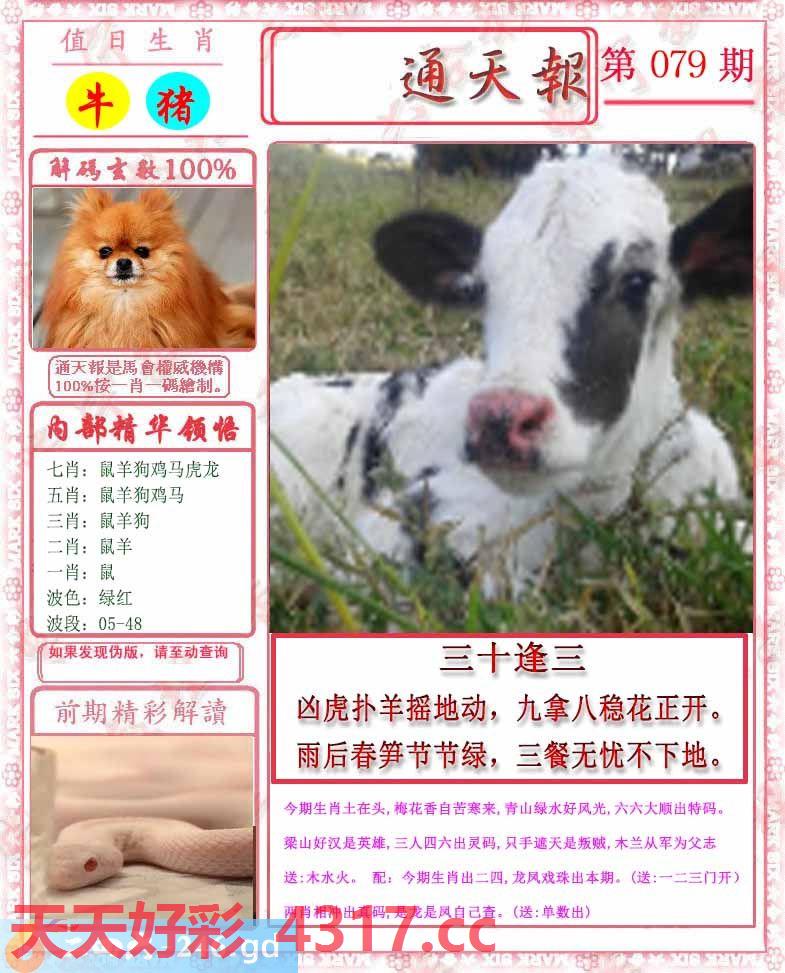 图片加载中...