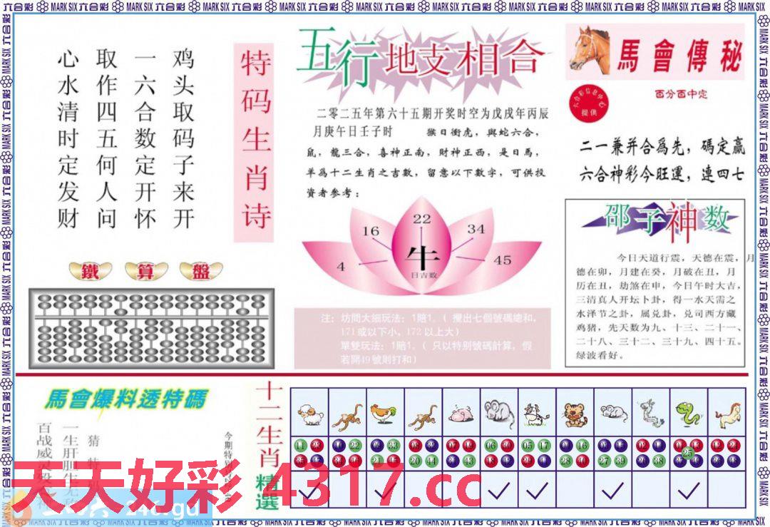 图片加载中...