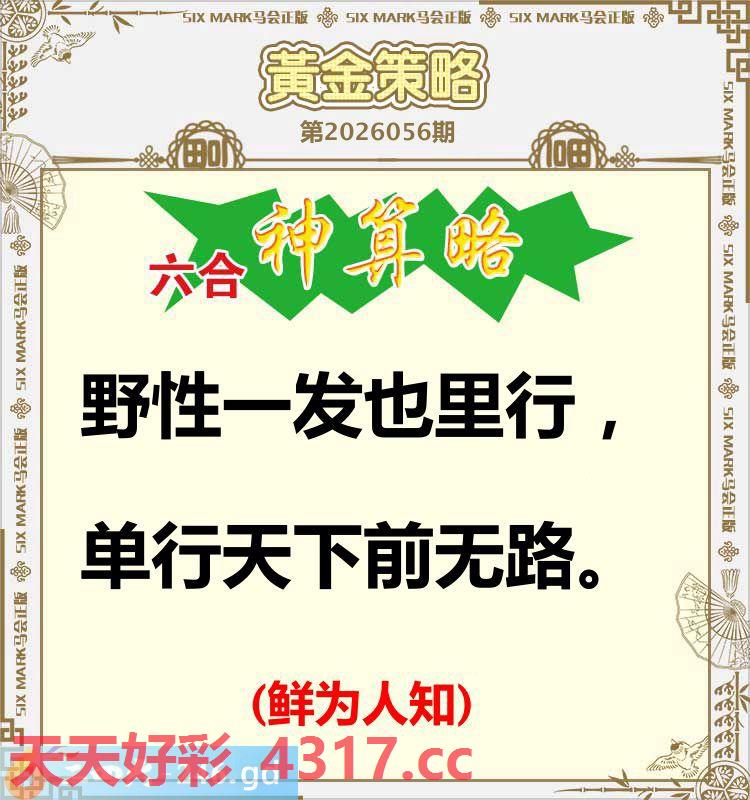 图片加载中...