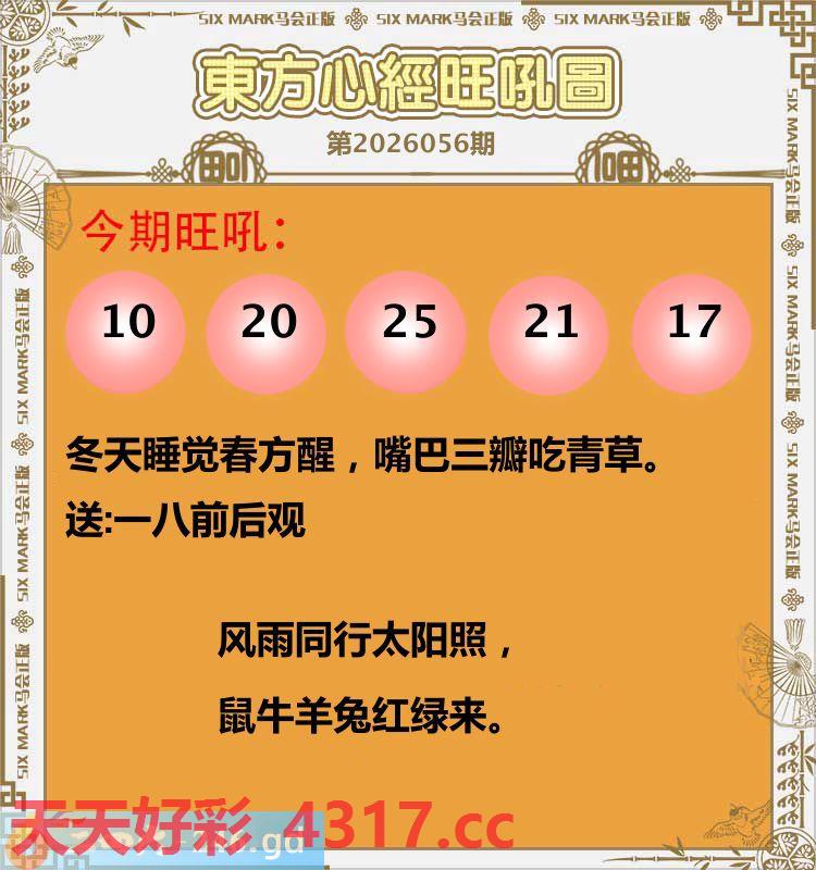 图片加载中...