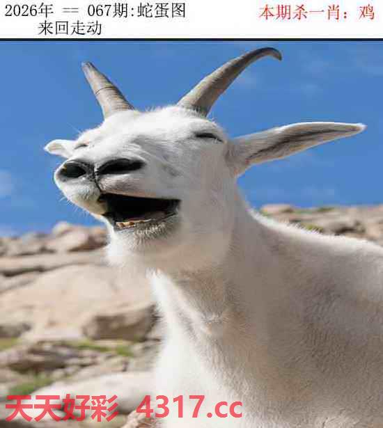 图片加载中...