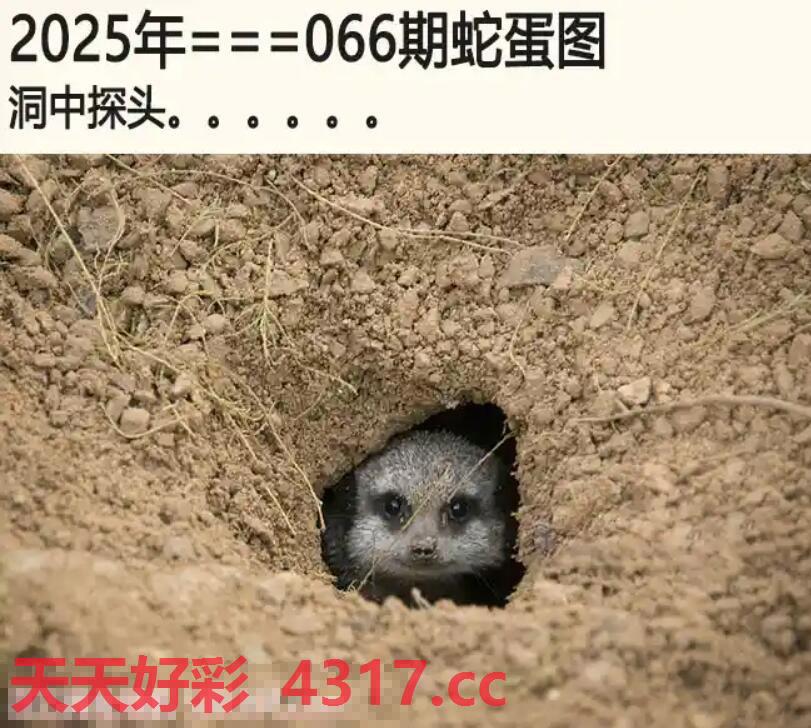 图片加载中...