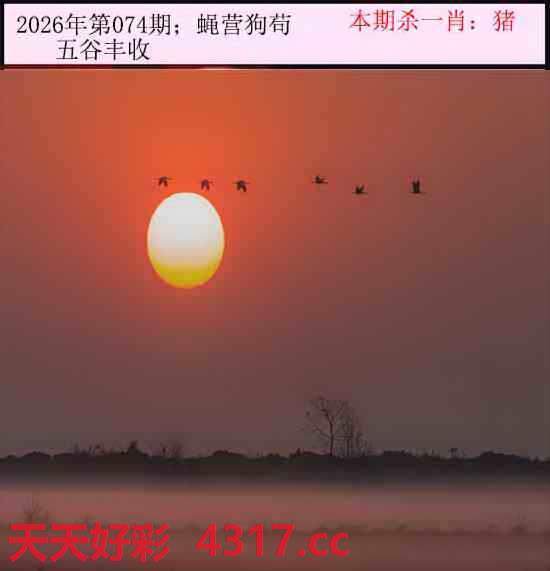 图片加载中...
