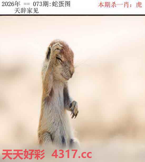 图片加载中...
