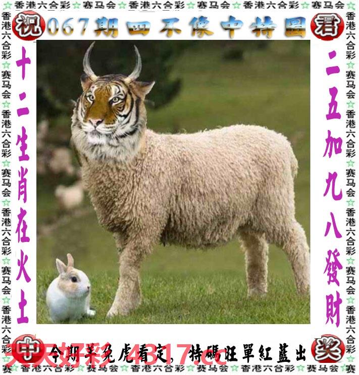 图片加载中...