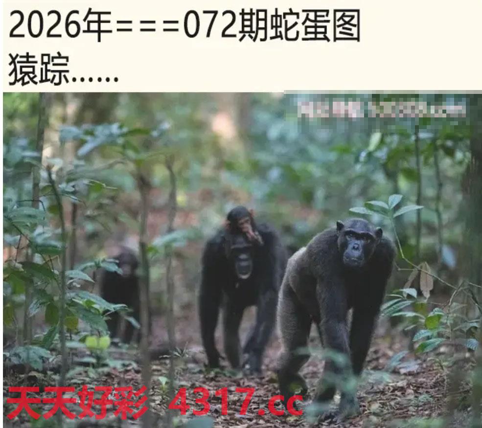 图片加载中...
