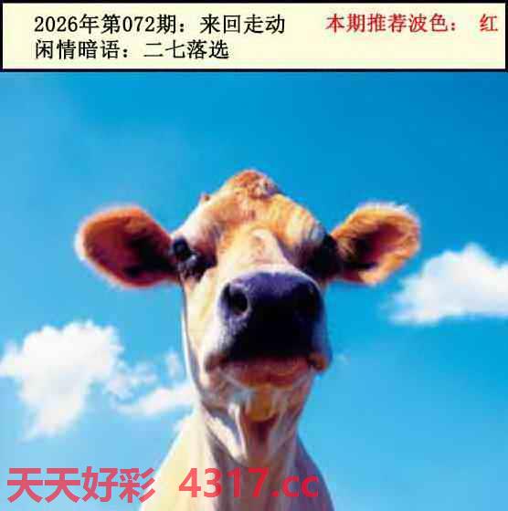 图片加载中...