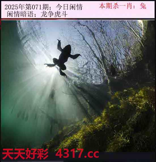 图片加载中...