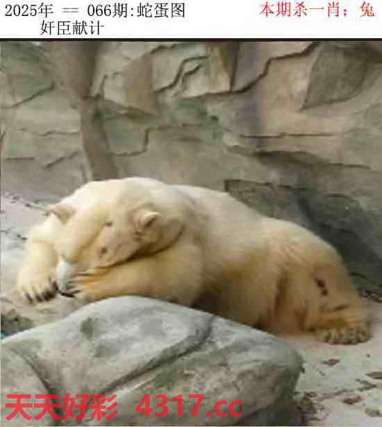 图片加载中...