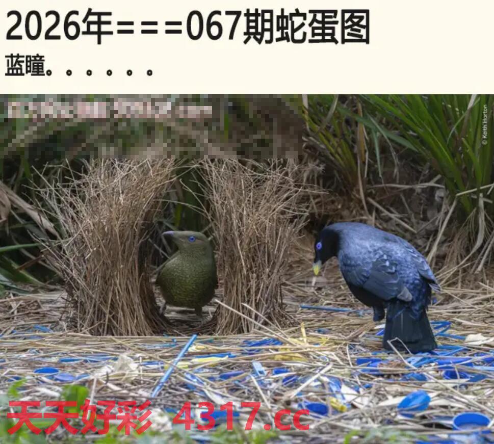 图片加载中...