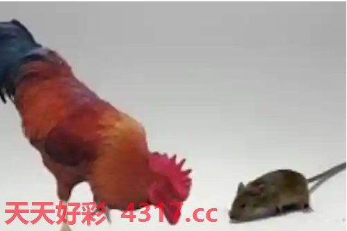 图片加载中...