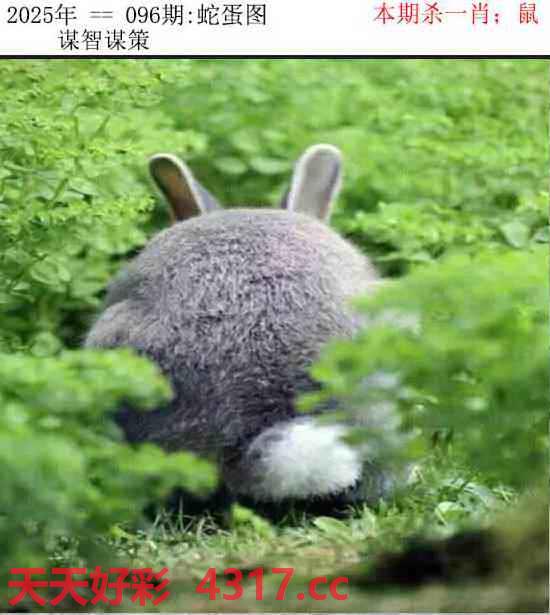 图片加载中...