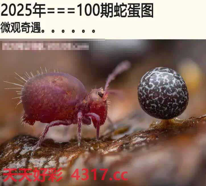 图片加载中...