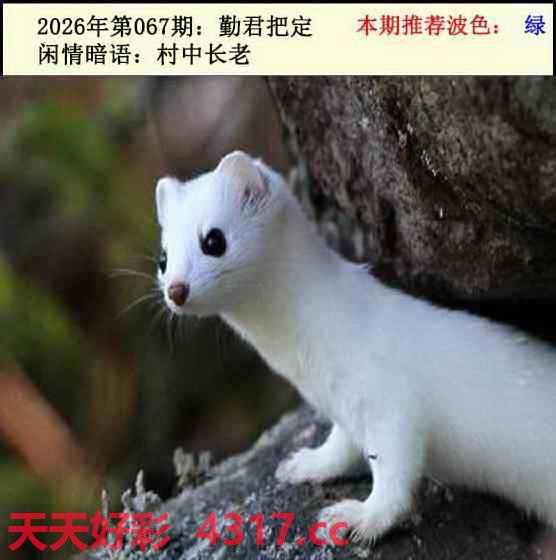 图片加载中...
