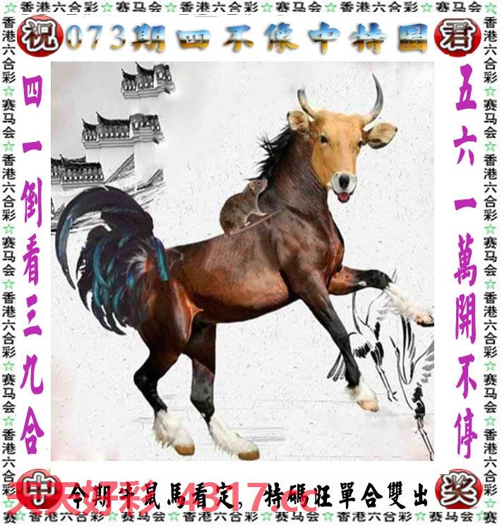 图片加载中...