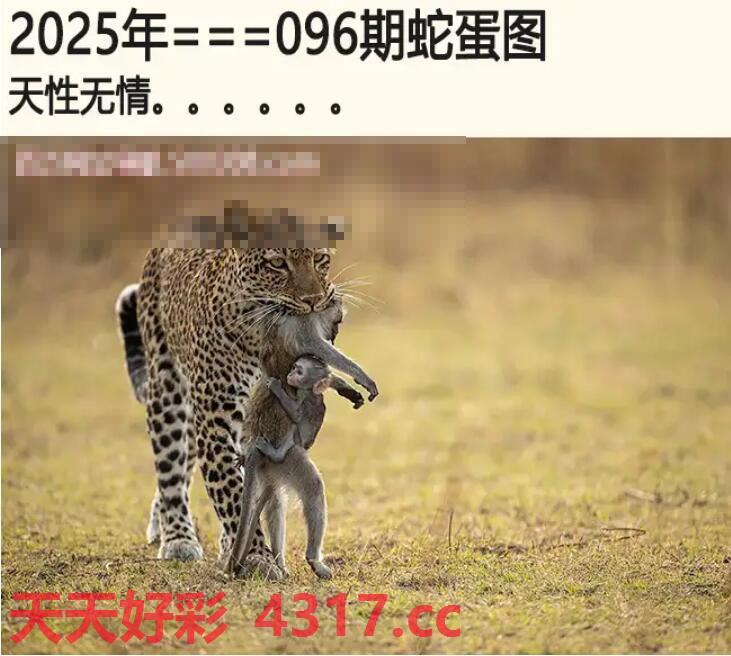 图片加载中...