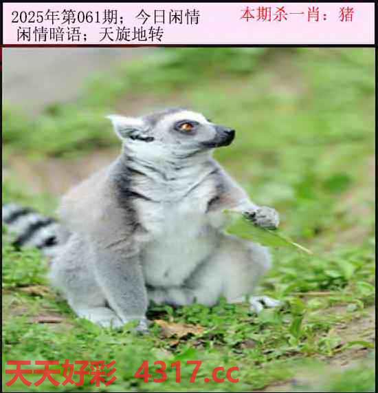 图片加载中...