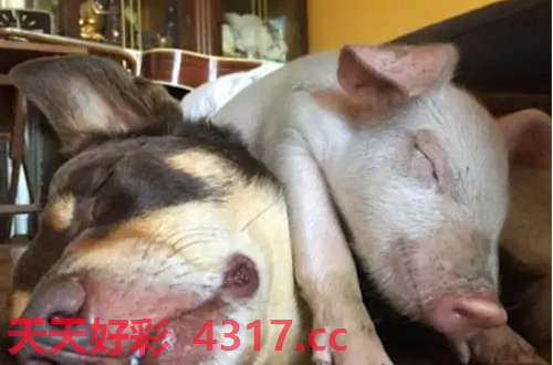 图片加载中...
