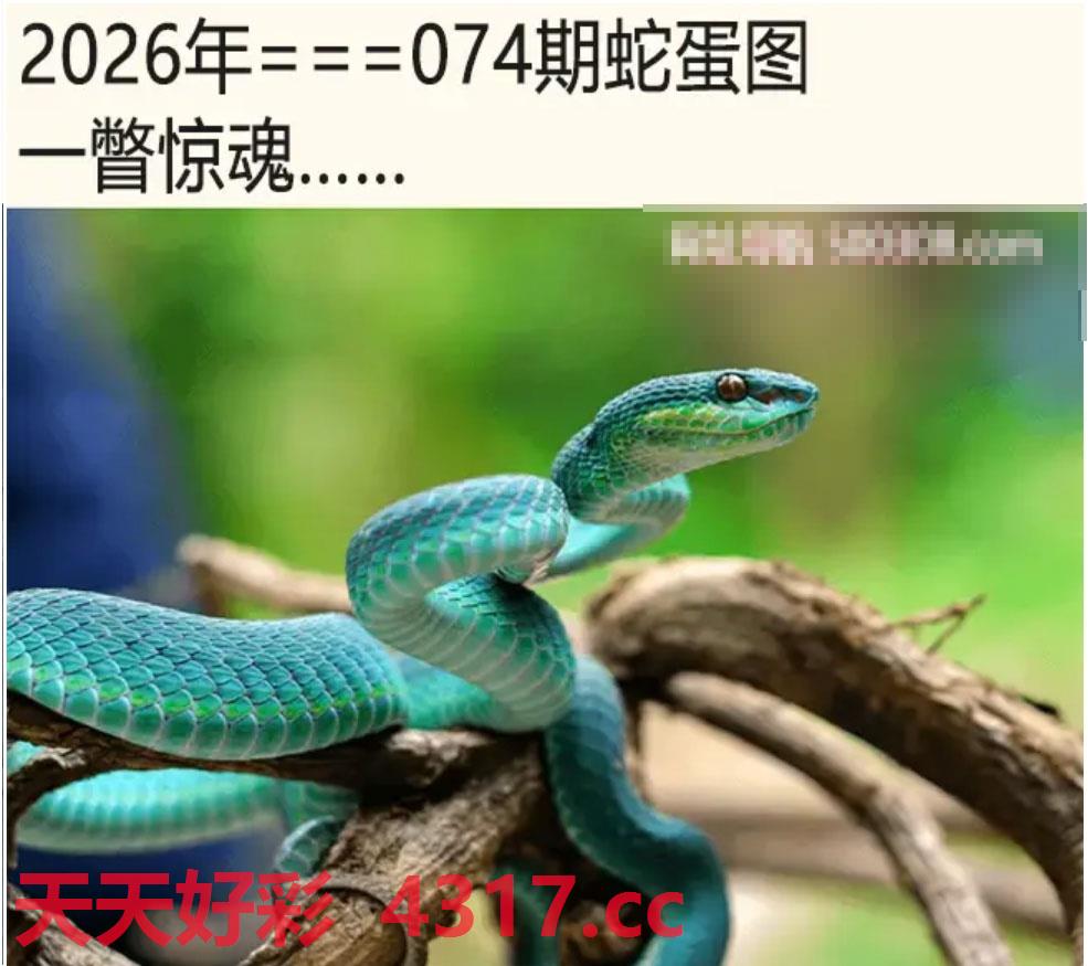 图片加载中...