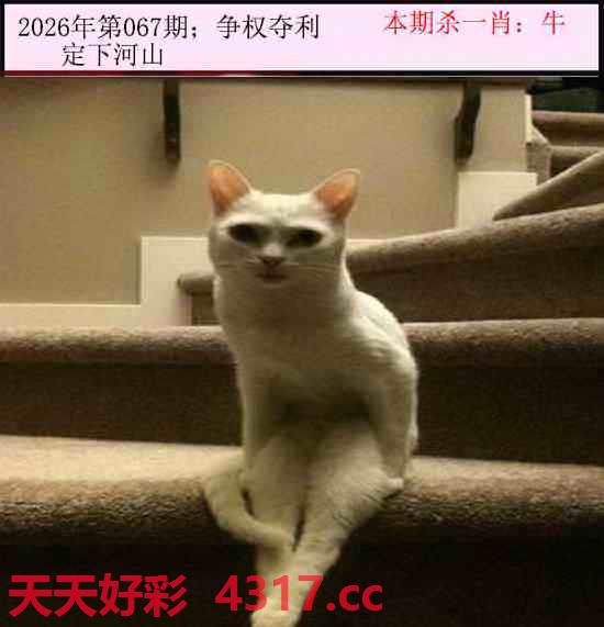 图片加载中...
