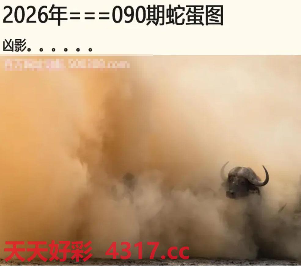 图片加载中...