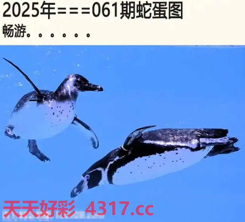 图片加载中...