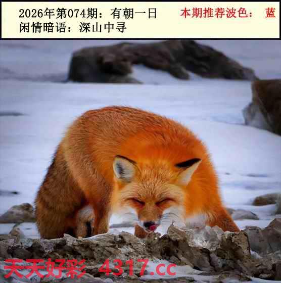 图片加载中...