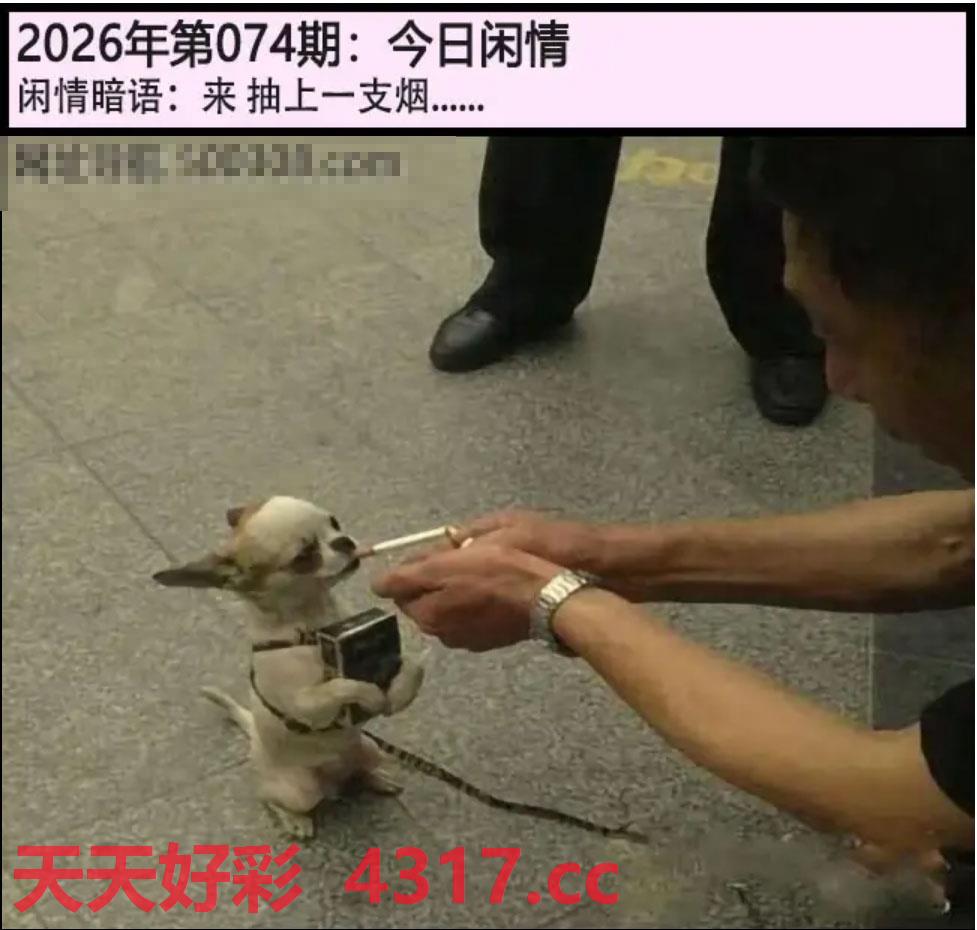 图片加载中...