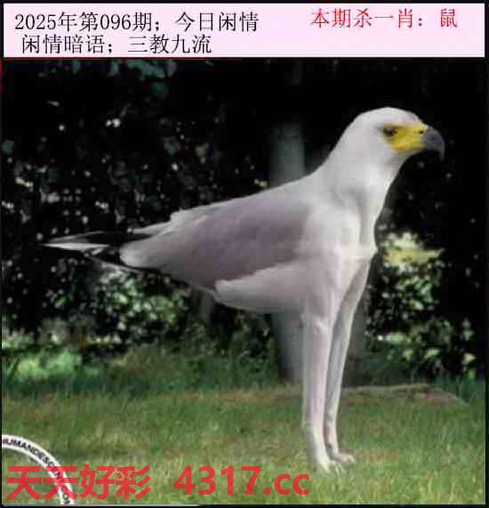 图片加载中...