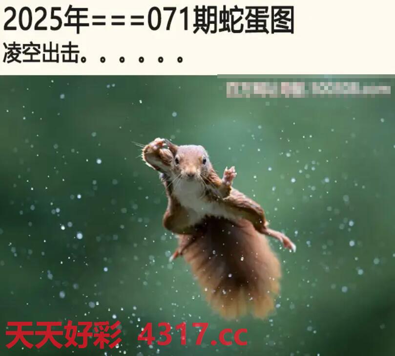 图片加载中...