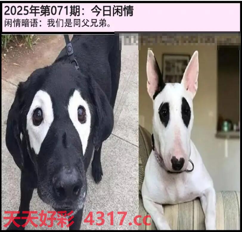 图片加载中...