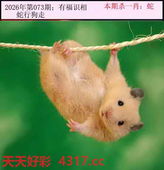 图片加载中...