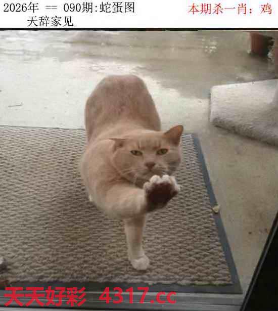 图片加载中...