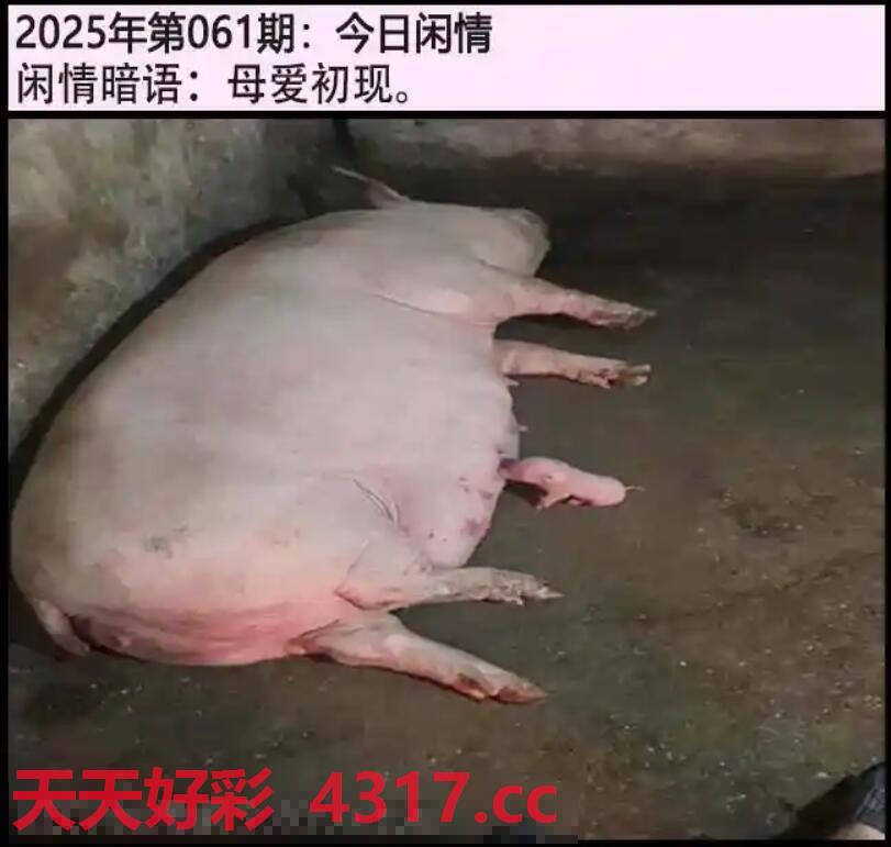 图片加载中...