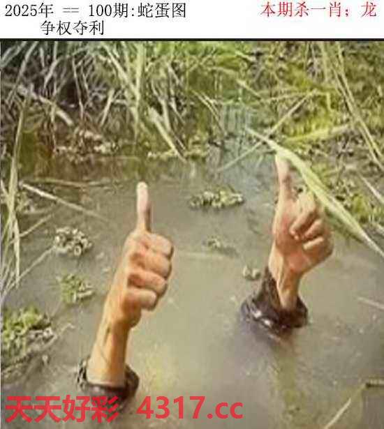 图片加载中...